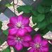 Gena Tatum - Facebook