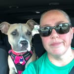 Gina Tobin - @gberentobin - Instagram