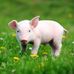 Gina Tolbert - Facebook