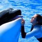 🐋Whales Are Life🐋 - @gina_orca_trainer - Instagram