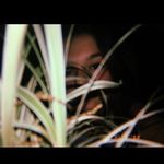 Gina Vincent - @gina__photography - Instagram