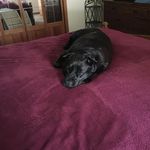 Gina (Weeks)Chadbourne - @ginaweekschadbourne - Instagram