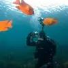 Gina Whelan - @gina.whelan1 - TikTok