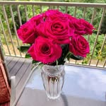 Gina Willard Haggard - @wantmoore68 - Instagram