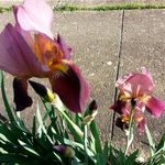 ginayoder - @gigiyoder - Instagram