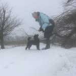 Ginette Johnson - @ginette_johnson - Instagram
