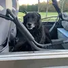 ginettejohnson697 - @ginettejohnson697 - TikTok