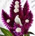 Ginette Thomas - Facebook