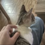 Ging Ting Kuo - @kuo.528 - Instagram