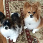 Gingeroonie+Addison - @gingerhowlin - Instagram