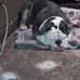 Ginger Adkins - Facebook