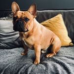 George Lake - @the_ginger_albert - Instagram