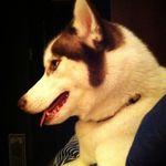 Ginger Aldrich - @snofire_74 - Instagram