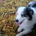 Virginia Ambrose - Facebook