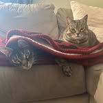 Apollo Creed and Ginger Lee - @apollocreed_and_gingerlee - Instagram
