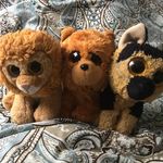 CINBIN🍪_GINGER🧄_ARTHUR🇬🇧 - @cinbin_ginger_arthur - Instagram