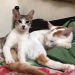 Ginger N Ash - @ginger_ash_focus - Instagram