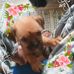 Ginger Atkinson - Facebook