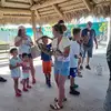 Ginger - @gingeratkins - TikTok