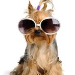 Ginger Autrey - Facebook