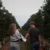 Ginger - @ginger.avery - TikTok