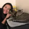 Cat&cat - @baconginger10 - TikTok