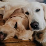 Ginger & Bailey💋💋 - @ging_and_bail - Instagram