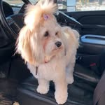 Ginger - @ginger.bailey_ - Instagram