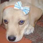 Ginger Valentina Ramirez Barbosa - Facebook