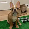 gingerbarkley572 - @gingerbarkley572 - TikTok