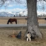Ginger Barlow - @barlow.ginger - Instagram