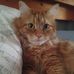 Ginger Grandoni-Barlow - Facebook