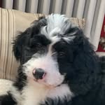 Ethan Bateman - @ginger_bateman - Instagram