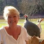 Ginger Bates - @ginger_bates__6626 - Instagram