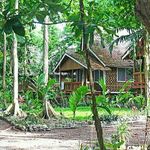 Ginger Beach - @gingerbeachretreat - Instagram