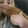 Ginger Bear - @gingerbear5 - TikTok