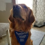 Beckett LaCount - @beckett_the_ginger_pirate - Instagram