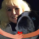 Ginger Beebe - @beebeginger - Instagram