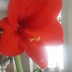 gingerbeststock - @gingerbeststock - Instagram