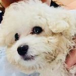 Ginger Boone - @gingerboone1117 - Instagram