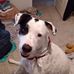 Ginger Boone - Facebook
