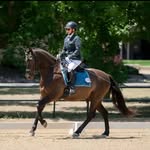 Ginger Bowles - @falcao_farm_dressage - Instagram