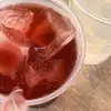 Ginger box - @gingerboxbunny - TikTok