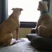 Ginger Bradley - Facebook