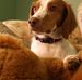 Ginger Bruce - Facebook