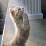 Ginger Glover Bruce - @gingerbruce0117 - Instagram