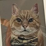 Sir Bruce The Fluffybutt 🇬🇧 - @bruce_the_ginger_rescue - Instagram