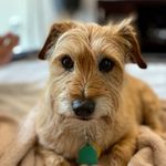 Ginger Wasabi Burrows - @ginstegram - Instagram