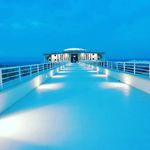 Ginger Butler - @brandufdergnetzlu747 - Instagram