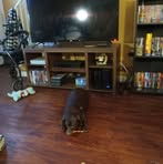 Ginger Butler - Facebook
